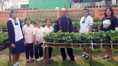 ร.ร.วัดลำเหย สาธิตปลูกสตรอเบอรี่ สนองนโยบายลดเรียน เพิ่มเวลารู้