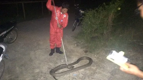 เสียวสันหลังวาบ! แม่กับลูกสาวเข้าไปอาบน้ำ ไม่รู้มีงูจงอางซ่อนอยู่