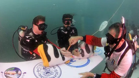 วาเลนไทน์คึกคัก แห่จดทะเบียนทั่วไทย 20 คู่รักวิวาห์ใต้น้ำชื่นมื่น