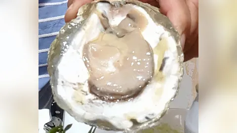 หนอนในหอย