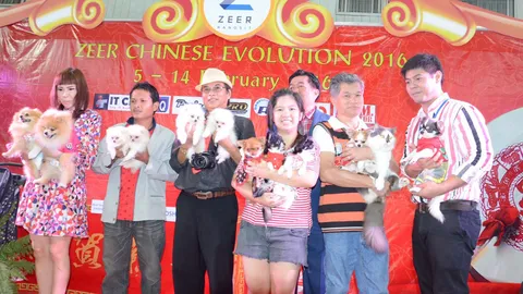 ฮือฮา! วันวาเลนไทน์ จัดวิวาห์หวาน เจ้าตูบ 7 คู่ 