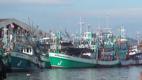 เตือนหนาว-มรสุมมาอีก! 16-19 ก.พ.นี้ ประมงใต้ไม่ประมาท เร่งนำเรือหลบลม