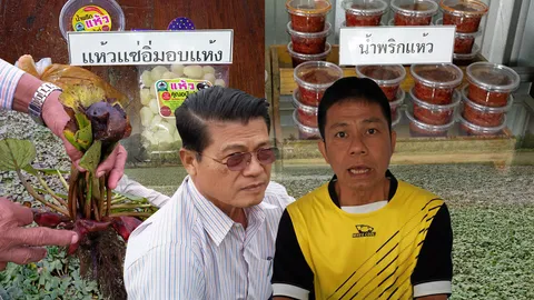 กระจับ-แห้วระทม รับลมหนาวน้ำแล้ง