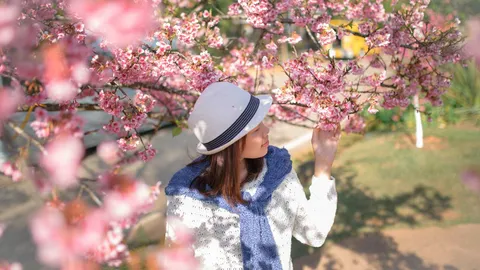 ไปแล้วจะรัก...ทะเลดอกไม้ที่ “ดอยอ่างขาง”