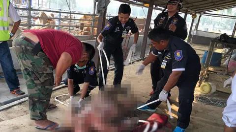 หลานโหดฆ่าลุง ฝังศพอําพราง