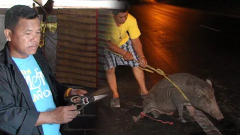 ข่าวต้นชั่วโมง 24.00 น.