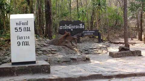 คนเลย แห่ค้าน กระเช้าไฟฟ้าขึ้นภูกระดึง ซัดทำลายธรรมชาติ