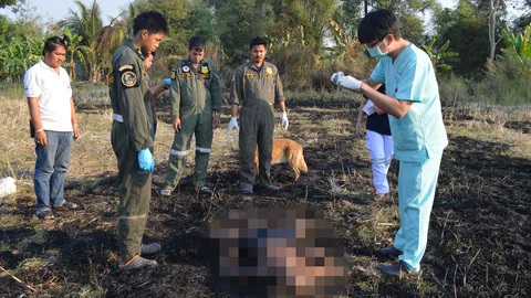 สลด ลูกไม่อยู่บ้าน พ่อ 83 จุดไฟเผาหญ้า ถูกคลอกตายกลางทุ่งนา 