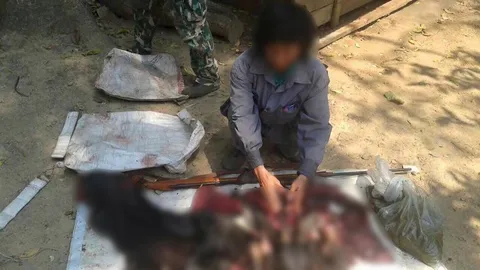 จับหนุ่มกะเหรี่ยงล่า 'เลียงผา' แบกปืนยาว เดินในอช.แก่งกระจาน