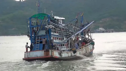 ประกาศพื้นที่รักษาพืชพันธุ์ 3 อ.สุราษฎร์ฯ อนุรักษ์สัตว์ทะเล