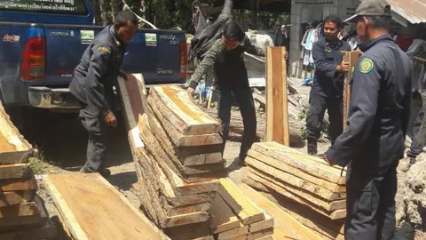 บุกค้น รง.เฟอร์นิเจอร์ที่เมืองกาญจน์ พบไม้หวงห้ามมูลค่ากว่าครึ่งล้าน