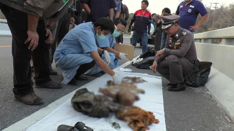 พบโครงกระดูกใต้สะพานแพร่ ระบุไม่ได้ใช่ชายถูกฆ่าหรือไม่ เร่งส่งชันสูตร