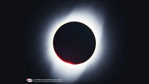 อย่าพลาด! สดร. ชวนส่องสุริยุปราคาบางส่วน เช้าตรู่ 9 มี.ค.