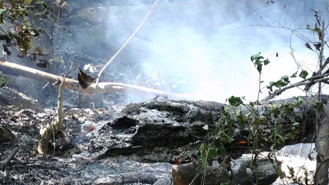 คุมได้แล้ว! ไฟป่าที่จันทบุรี-นครนายก เหลือเพียงกลุ่มควัน เฝ้าระวังต่อ