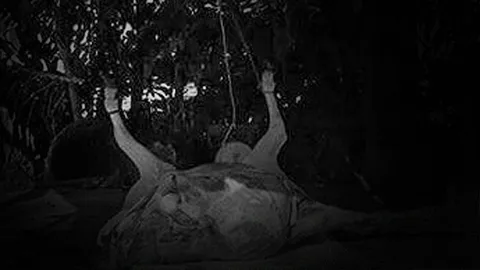 ยื่นฟ้อง 4 ตร.ประมูลขายซากวัวมิชอบ