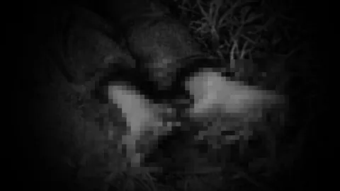 โมโหแทน! หนุ่มหยิบแท่งเหล็กหวังแทงคู่กรณี ล้มไม่เป็นท่าหัวฟาดพื้นดับ 