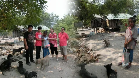 โซเชียลแห่ช่วย 'ป้าเล็ก' เก็บของเก่าขาย เลี้ยงสุนัขจรจัดกว่า 50 ตัว