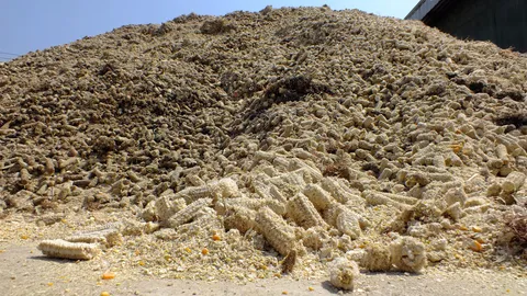 ซังข้าวโพด..ไม่ไร้ค่า สหกรณ์แม่สอดทำเงิน