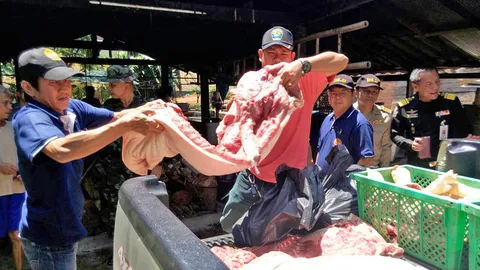 บุกจับโรงเชือดหมูเถื่อนที่ตรัง ไร้ใบอนุญาต จับเจ้าของดำเนินคดี