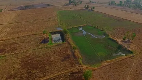 ภัยแล้งกระทบภาคเกษตร ผลผลิตเสียหาย ไม่ต่ำ 5 หมื่นล. จีดีพีลด รายได้หด