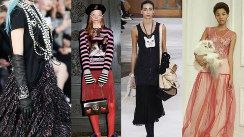 จะเกิดอะไรขึ้นเมื่อ ‘แมวเหมียว’ กลายมาเป็นส่วนหนึ่งของวงการแฟชั่น!