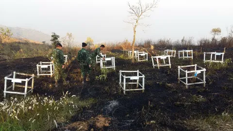 ไฟป่าเมียนมา! ลุกลามถึงแม่สาย จนท.เฝ้าระวัง 24 ชม.