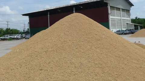 พาณิชย์ จ่อชงวิธีระบายข้าวใหม่ หลัง เหลือข้าวทุกเกรดปนกันอยู่ในคลัง