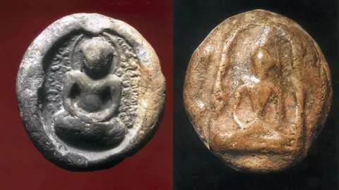 จากเม็ดกระดุม-ถึงซุ้มกอ