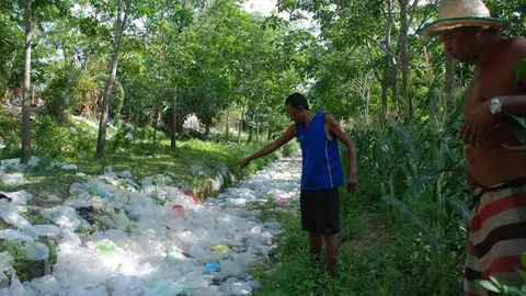 สุดทน! ชาวตรังโอด กองขยะมหึมา ปลิวทับถมพื้นที่เกษตรเสียหาย