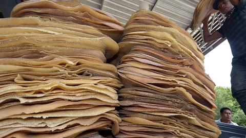 รัฐบาลปลื้ม ยอดขายยางพาราทะลุเป้า 