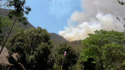 พบไฟป่าแก่งกระจาน-หนองหญ้าปล้อง เพิ่มอีก 9 จุด ระดม 700 คน ช่วยดับ