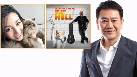 กระทบไหล่กูรูแมวระดับโลก แชร์เคล็ดลับเอาใจน้องเหมียว