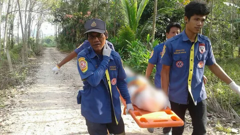 โรครุมเร้า! เฒ่าวัย 71 เครียด ตัดใจผูกคอลาโลก ใต้ต้นมังคุด