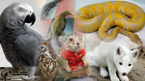 ต้องไปดู! ทุ่มงบ 20 ล. เนรมิตสัตว์แปลก รวมตัวมากที่สุดในประเทศ