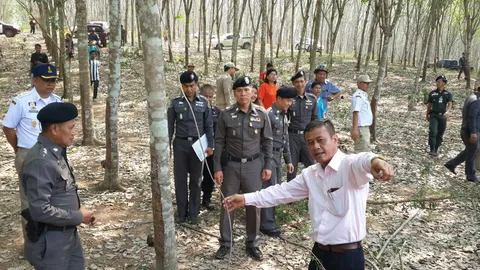 จับเจ้าของสวนยาง! ยอมรับเดินสายไฟ เหตุช้างป่าล้มริมสระ 2 ตัว