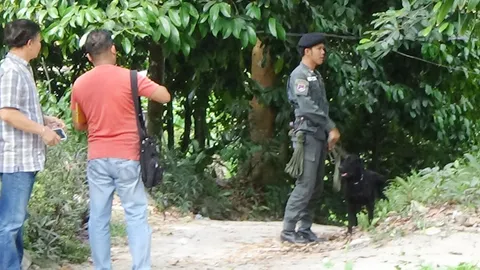 ระดมกำลังตำรวจ พร้อมสุนัขสงคราม เร่งตามหา 'น้องแพรว' อีกรอบ