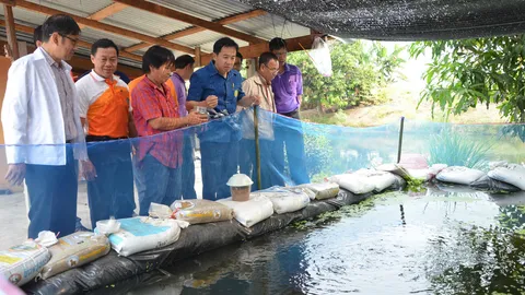 กำแพงเพชรเปิดโครงการ บ้านปลาเอื้ออาทร เพื่อการท่องเที่ยว