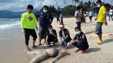 2 ศพนิรนามเกยหาดขนอม ตายไม่ต่ำกว่า 5 วัน เร่งสืบโยงกันหรือไม่