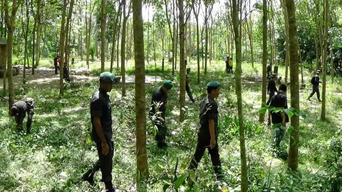 ผ่าน 13 วัน ยังไม่สิ้นหวัง! ระดม 400 คน ค้นหาตัว‘น้องแพรว’ต่อ   
