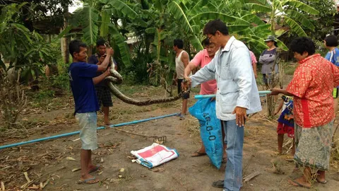 หนุ่มใหญ่ผงะ! งูเหลือม 3 เมตร นอนกกไข่ 22 ฟอง จับปล่อยคืนธรรมชาติ