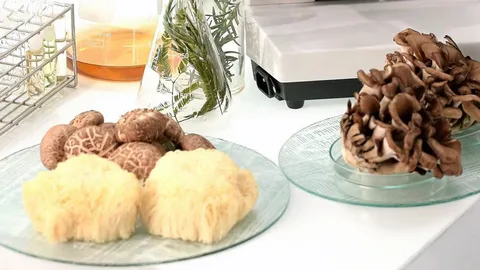 "ลดเครียด-นอนให้พอ-กินเห็ดทางการแพทย์" เสริมสร้างภูมิคุ้มกัน...ระดับเม็ดเลือดขาว