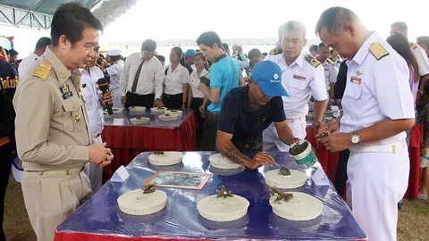 ทหารเรือ'ปลูกปะการัง-ปล่อยสัตว์ทะเล'เทิดพระเกียรติ สมเด็จพระเทพฯ 