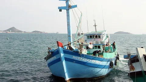 ทร.ภ.1 จับเรือประมงเวียดนาม 5 ลำ ลอบล่าปลาโลมาในเขตน่านน้ำไทย