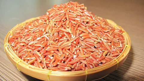 โลกเปลี่ยน...เกษตรต้องมองไกล