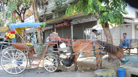 ลำปางร้อนจัด! รถม้าไม่ยอมวิ่ง ดึงผู้ประกอบการรายได้ฮวบ  