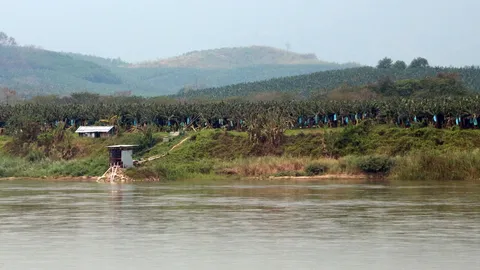 หวั่นจีนยึดไทยปลูกกล้วย แย่งชิงน้ำ-ทำสารเคมีตกค้าง จี้รัฐเร่งตีกรอบ