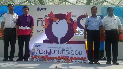 'ไปถ่ายรูปกัน' ทิวลิปบานที่ระยอง มหัศจรรย์ไม้เมืองหนาว เริ่มแล้วจ้า! 