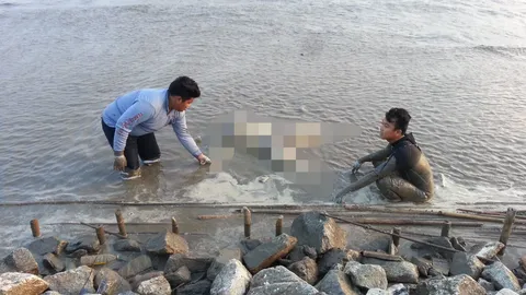 มึน! พบศพลอยติดบ่อเลี้ยงปลา ริมทะเลบางปู 2 วันซ้อน ตร.เร่งหาสาเหตุ