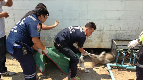 บีบพตต.มอบตัว รัวฆ่าหมา แค้นรุมกัดเมีย!