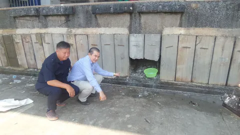 ตลาดทะเลไทย แจงยิบ ไม่ได้ขังสุนัขทั้งเป็น ยันเรื่องเข้าใจผิด 